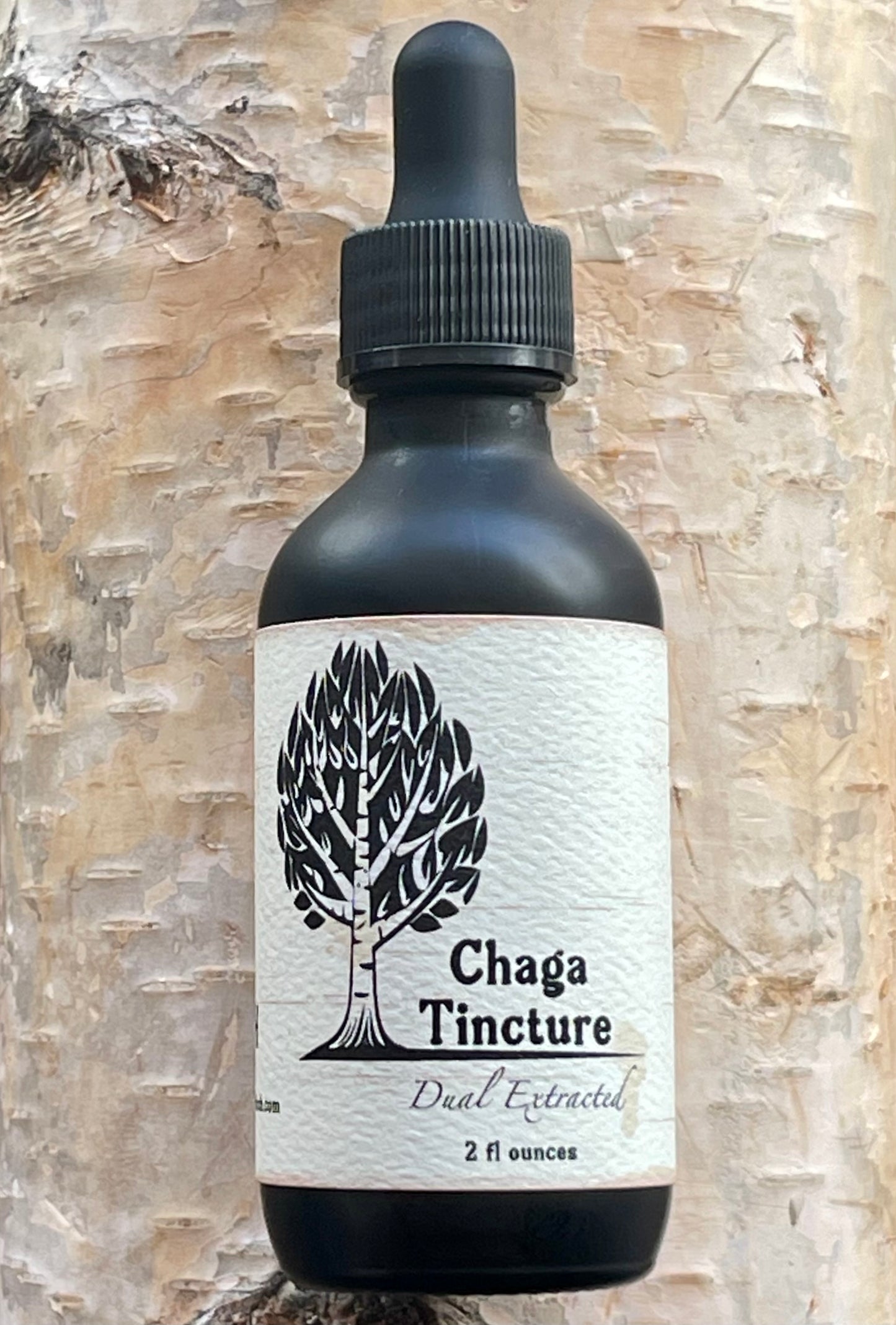 Chaga Tincture
