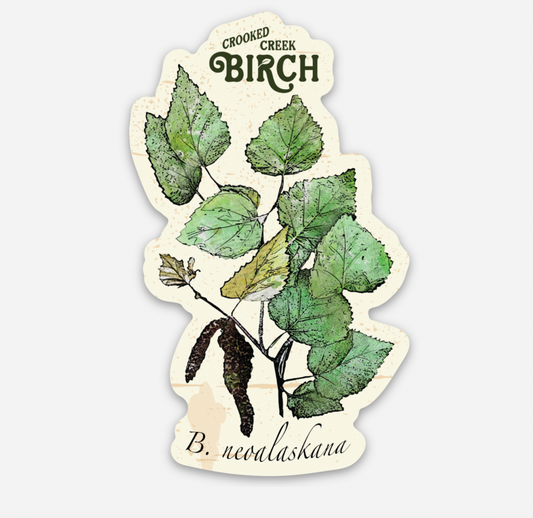 CCB Sticker