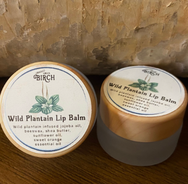 Wild Plantain Lip Balm
